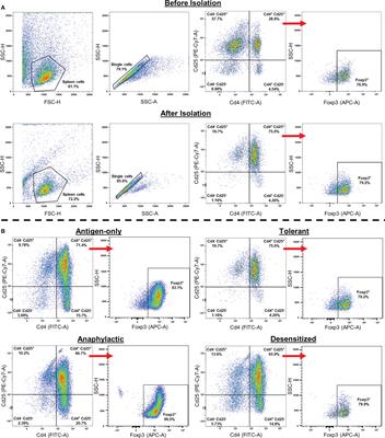 A synthetic glycodendropeptide induces methylation changes on regulatory T cells linked to tolerant responses in anaphylactic-mice